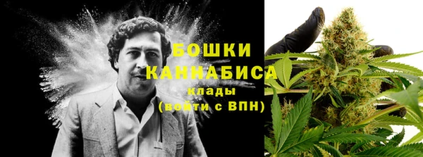 мдма Каменногорск