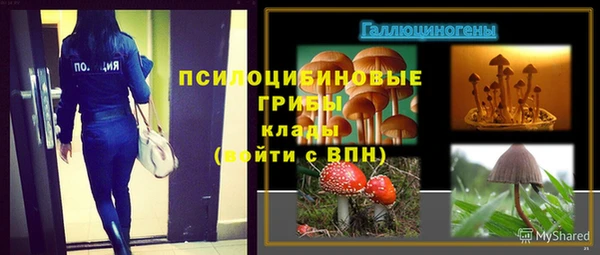 мдма Каменногорск